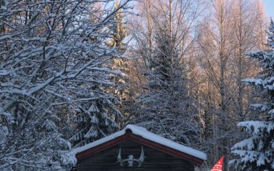 Rauhaisaa joulua 2025!